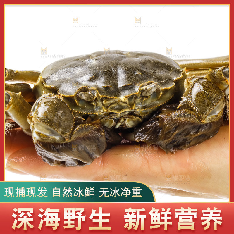手里拿着鲜活螃蟹
