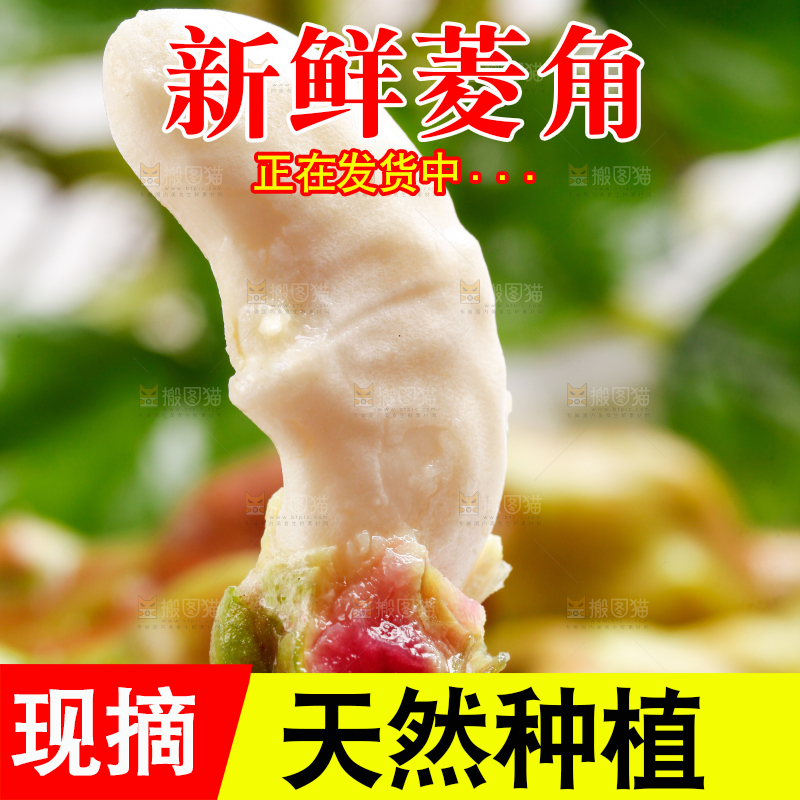 手里拿着新鲜菱角