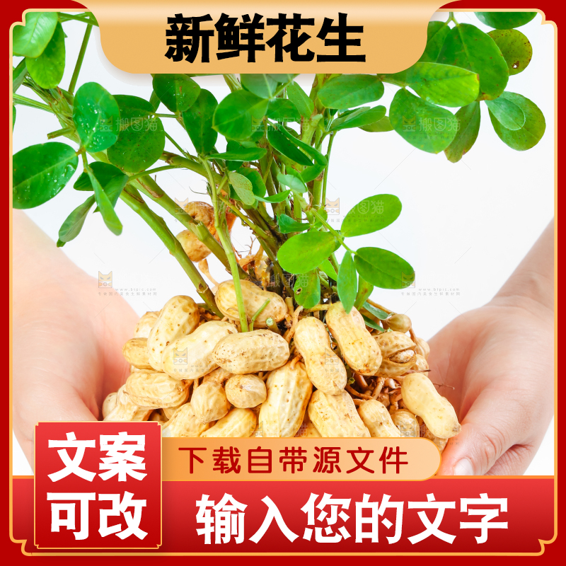 手上捧着湿花生