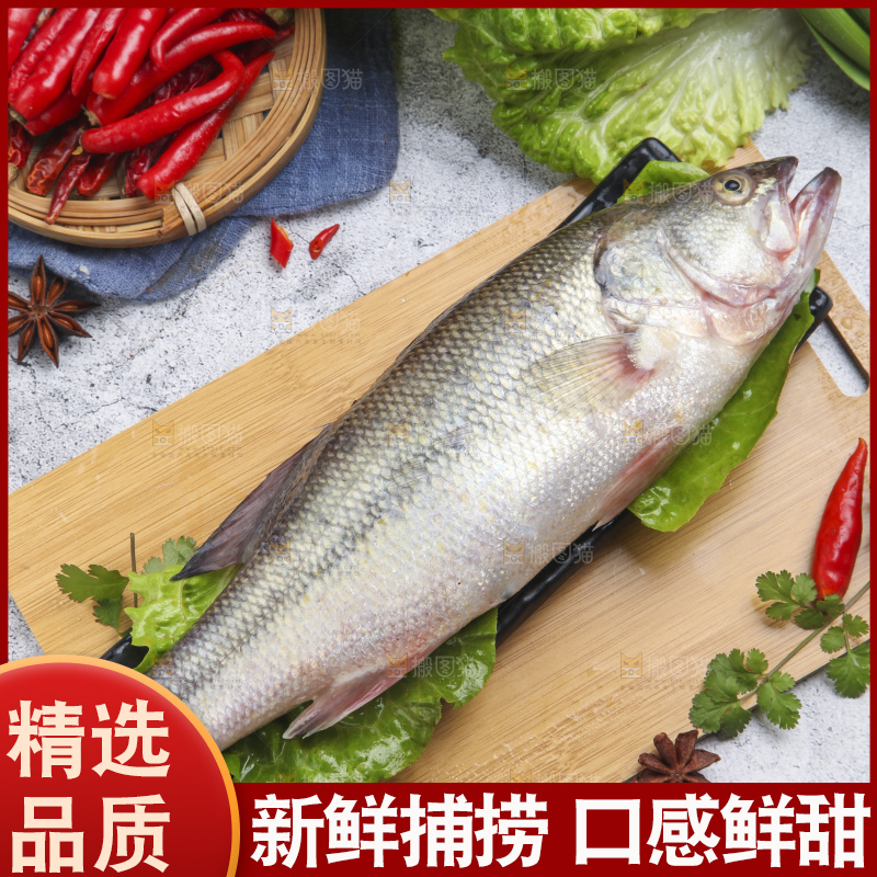 木板上放着花鲈鱼