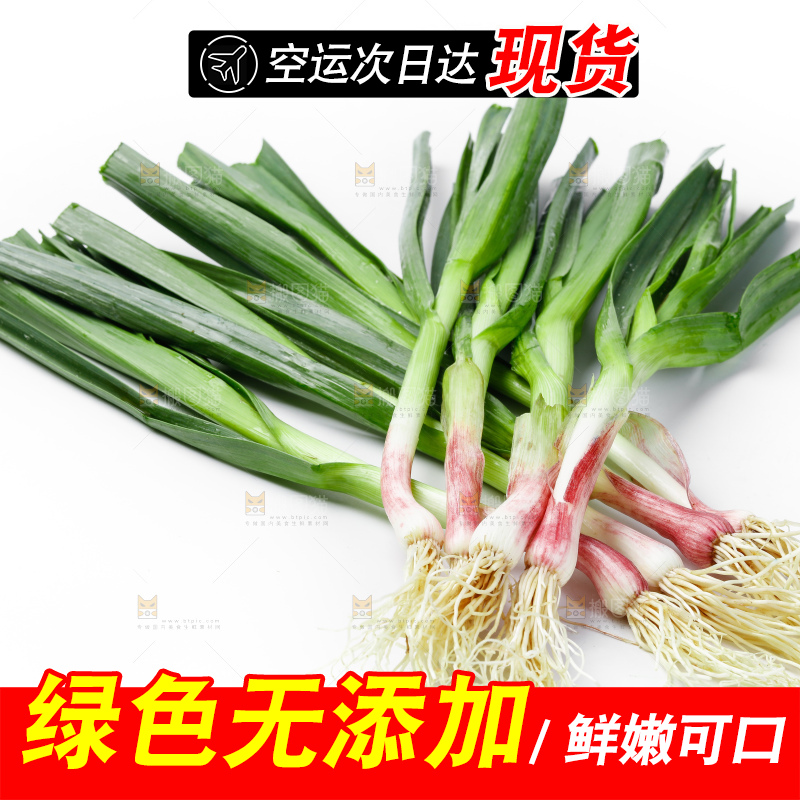 白底上的新鲜蒜苗