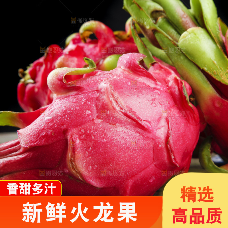 黑底上放着火龙果