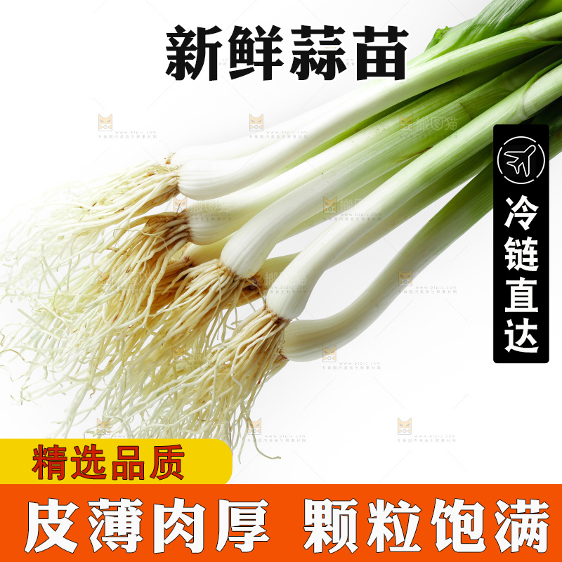 白底上的新鲜蒜苗
