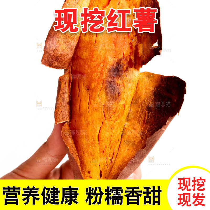 白底上的红薯