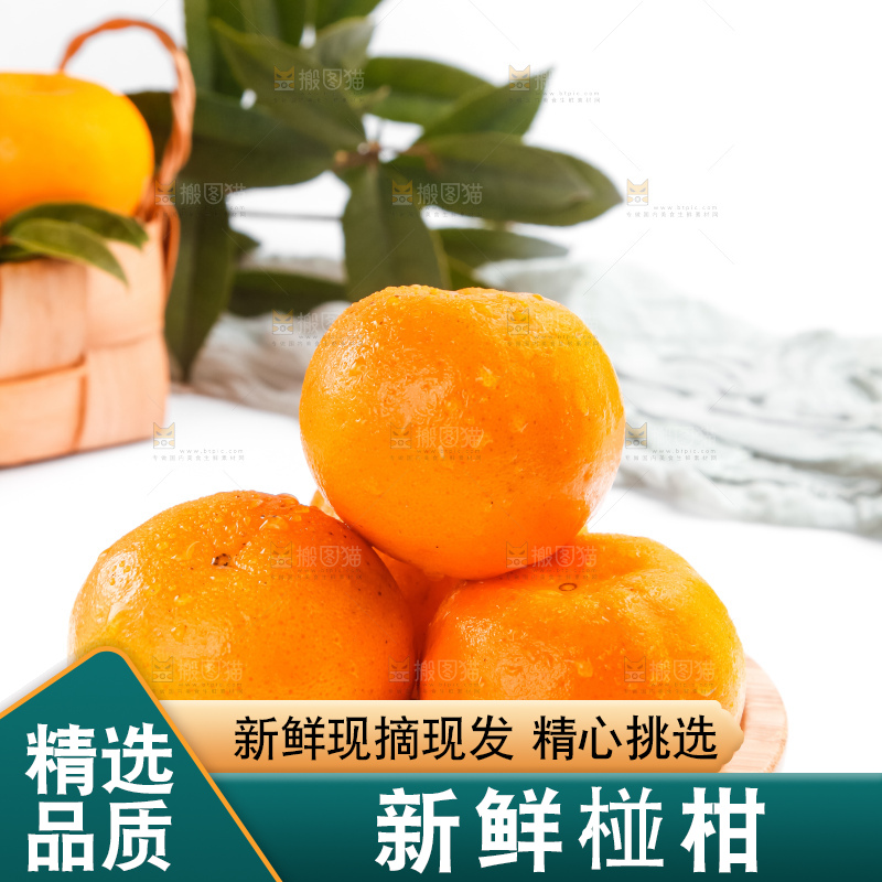盘子里装着新鲜椪柑