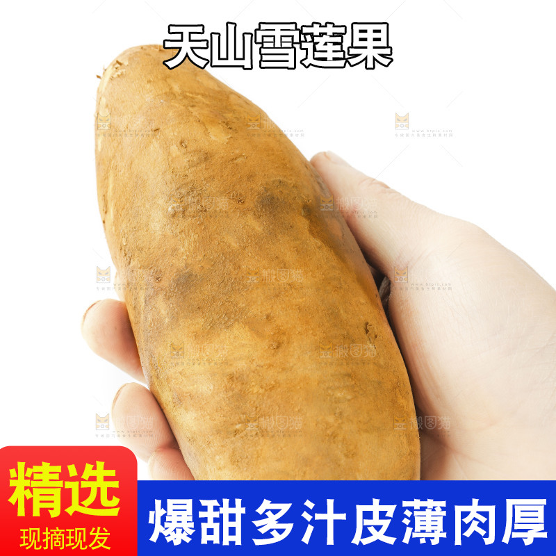 手里拿着雪莲果