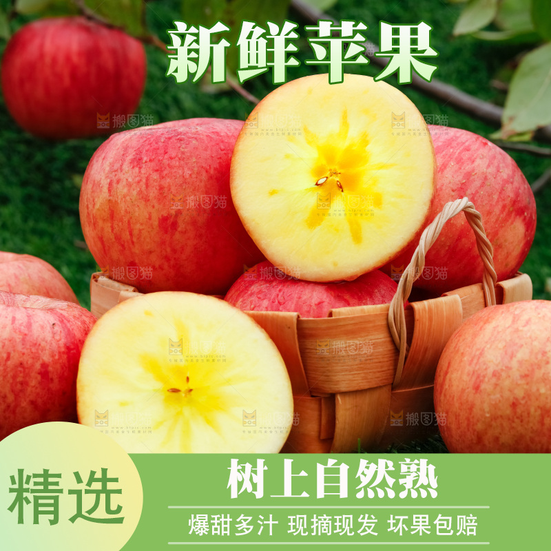 草地上放着冰糖心苹果