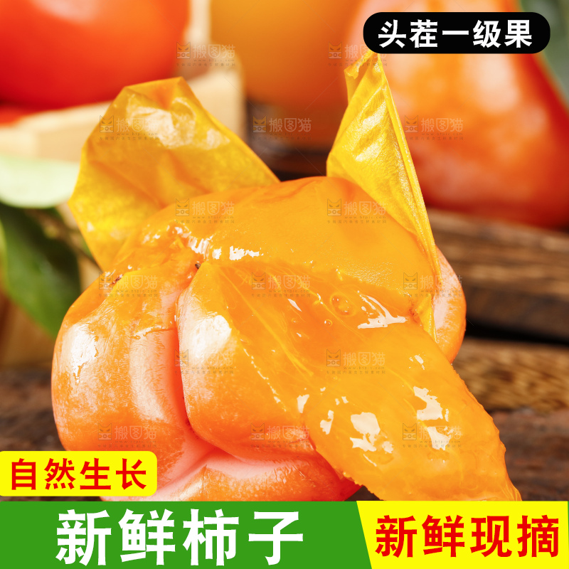 木板上摆放着易县磨盘柿子