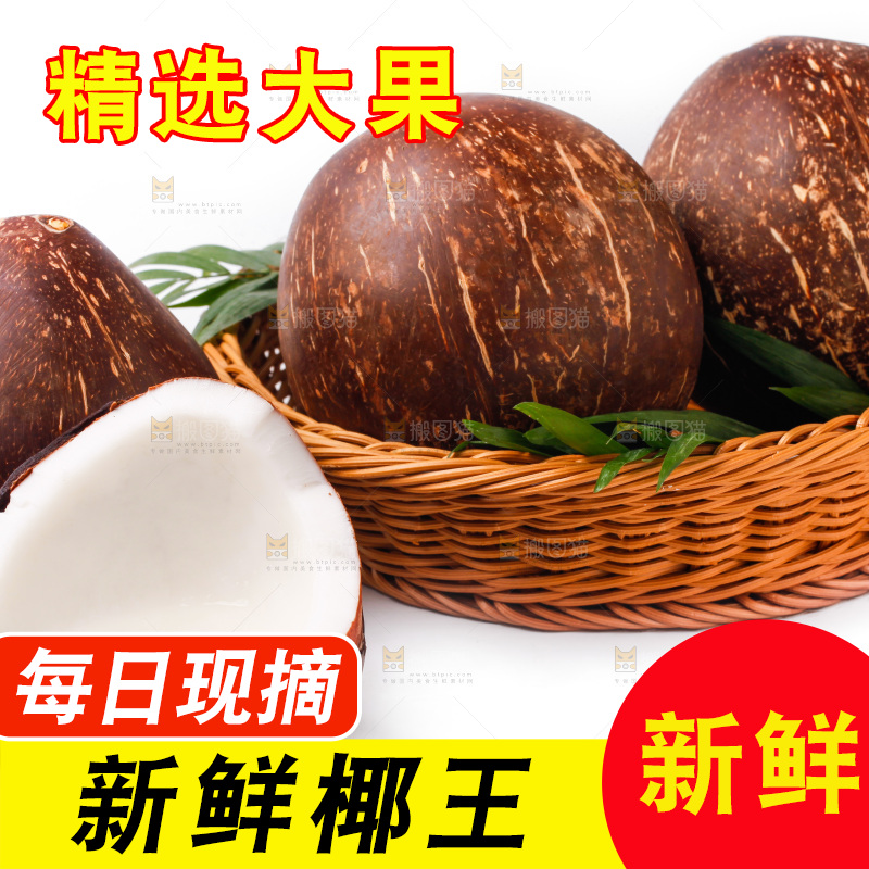 白底上放着椰王