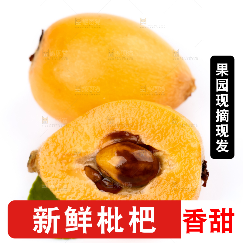 白底上放着攀枝花米易枇杷