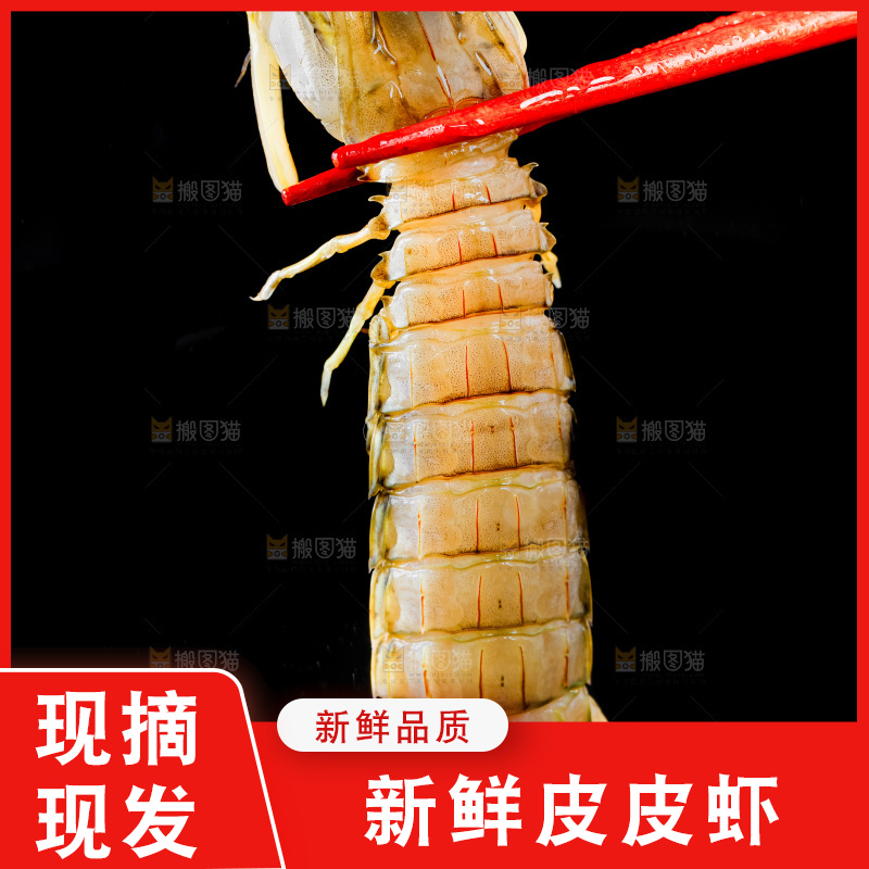 筷子上夹着虾姑