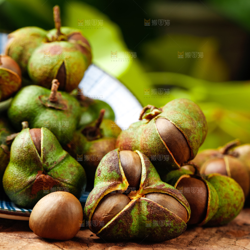 深底上的茶树果