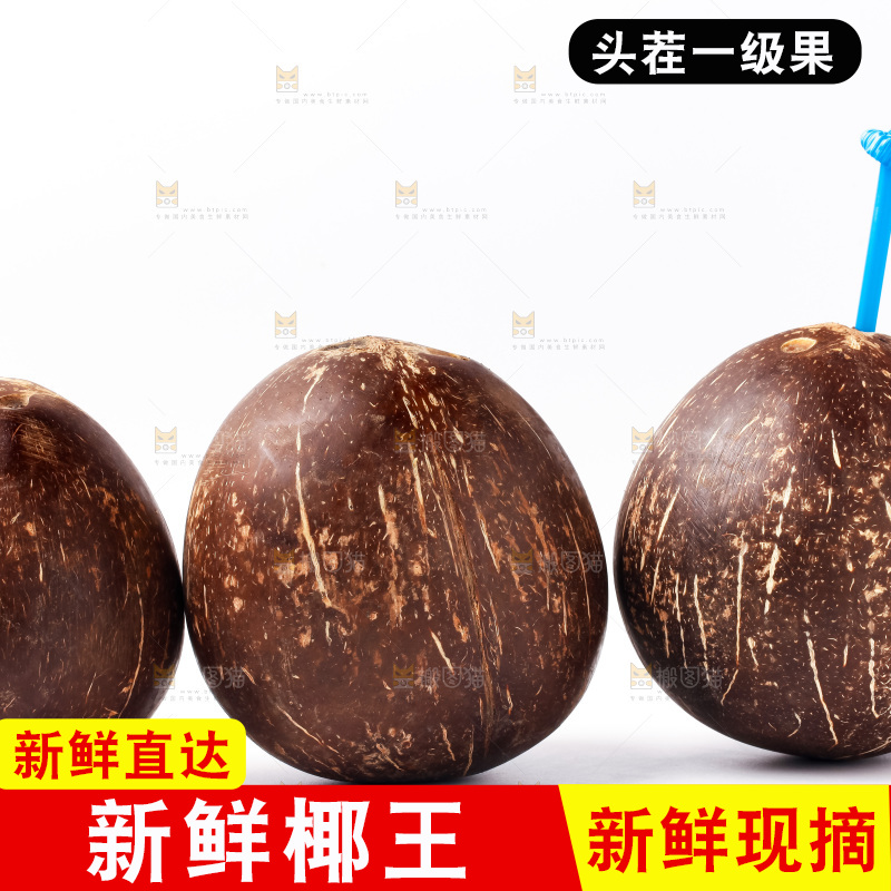 白底上摆放着老椰子
