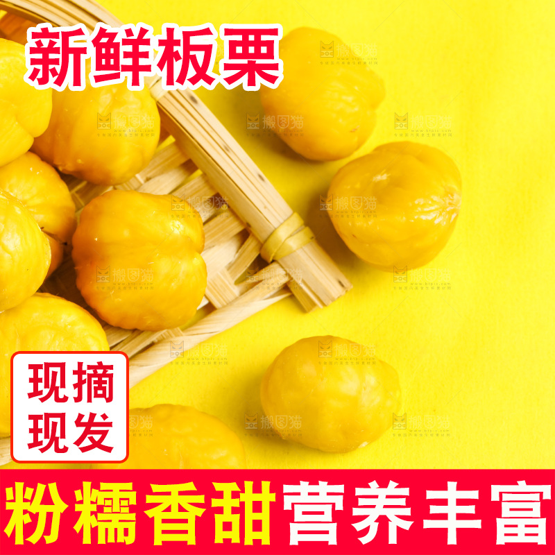 黄底上的迁西板栗