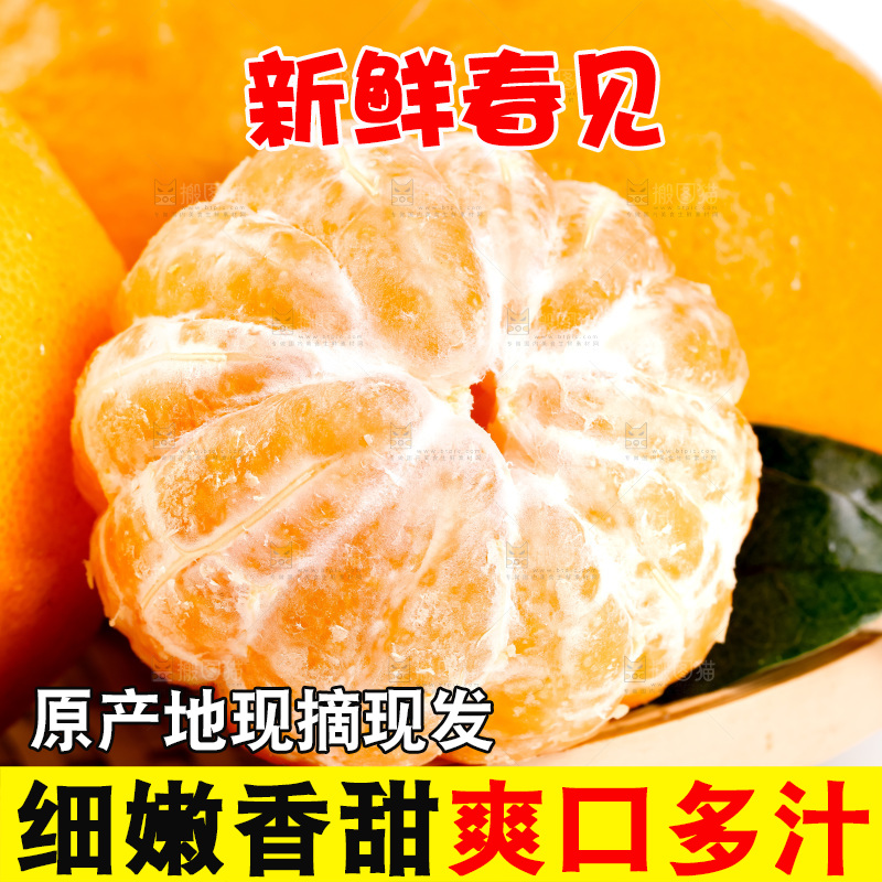 白底上放着耙耙柑