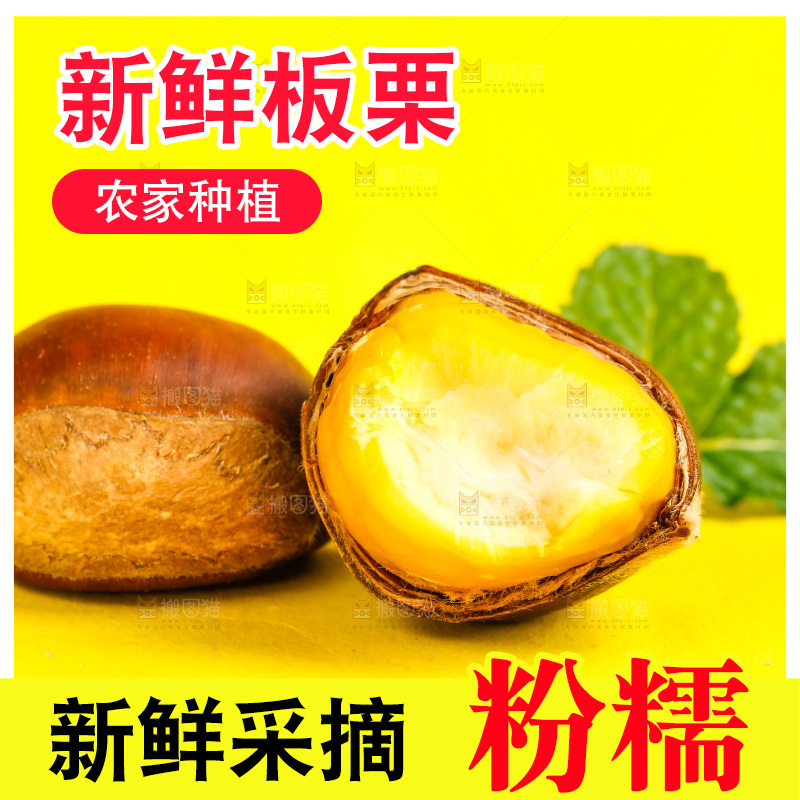 黄底上的迁西板栗