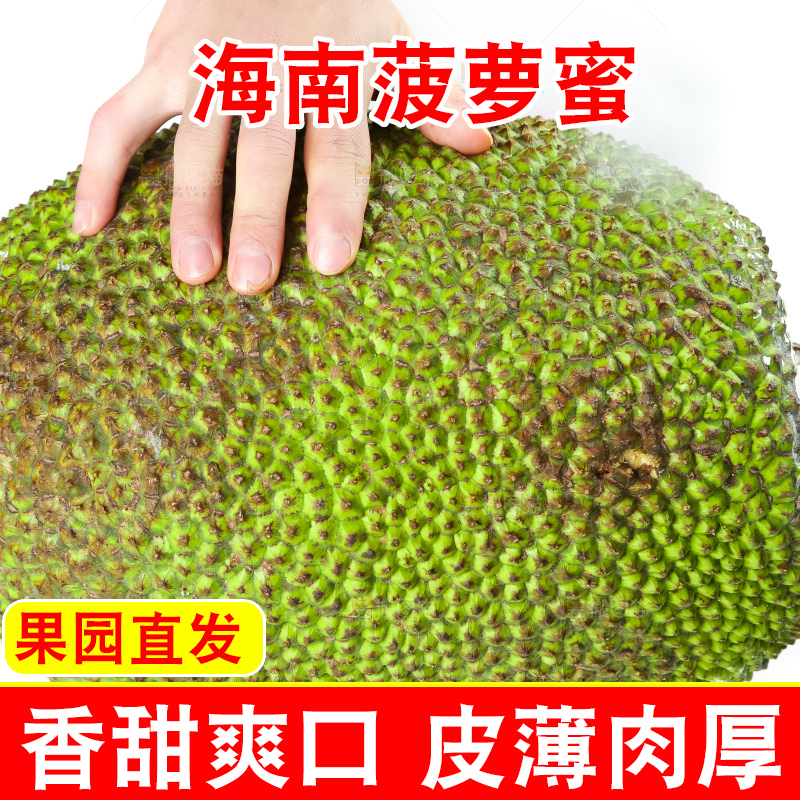 白底上的越南菠萝蜜