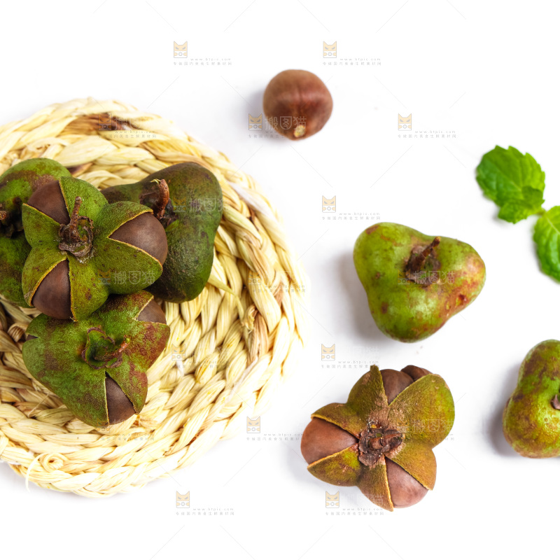 白底上摆放着茶树果