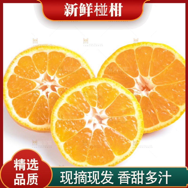 白底上的椪柑