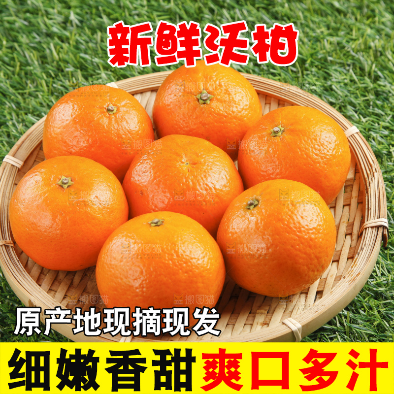 草地上放着贵妃柑