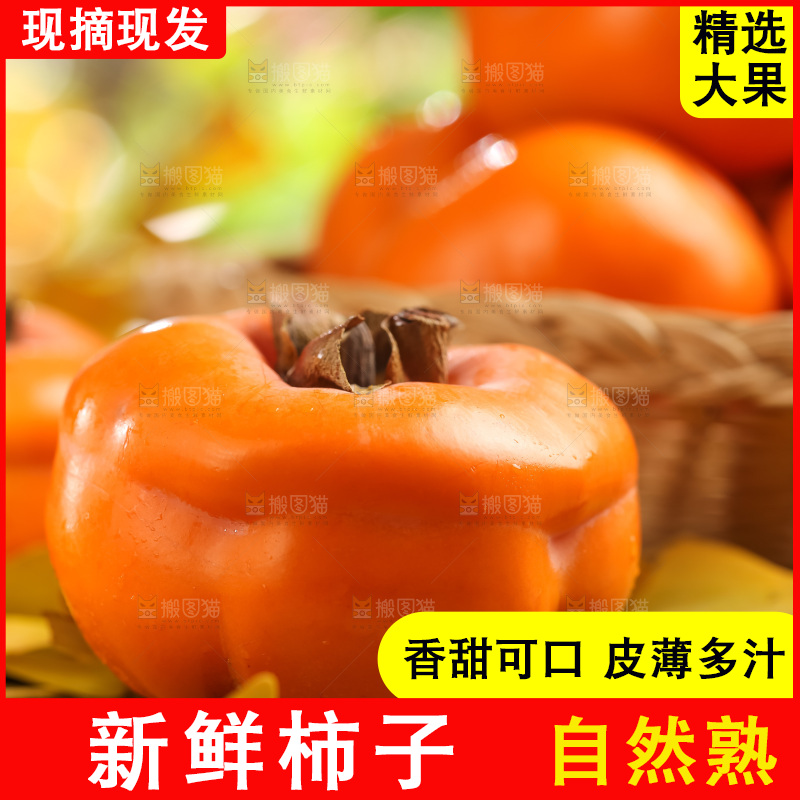 篮子里装着河北磨盘柿子