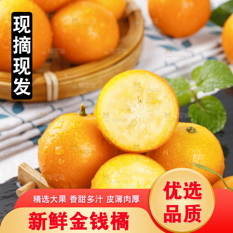 黑石板上的广西金钱橘