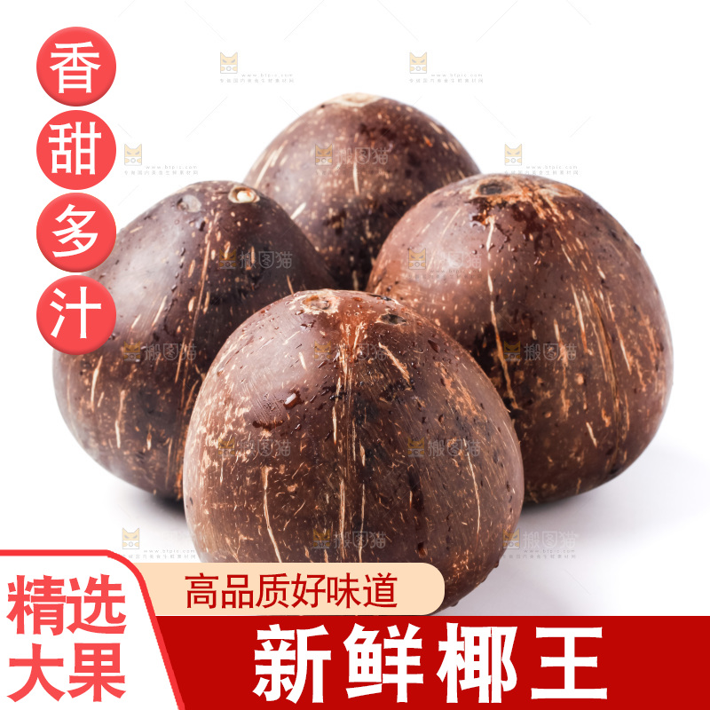 浅底上的椰皇