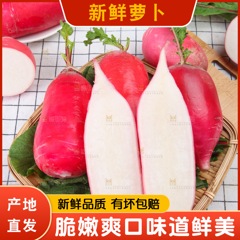 白格子底上的湖北红皮萝卜