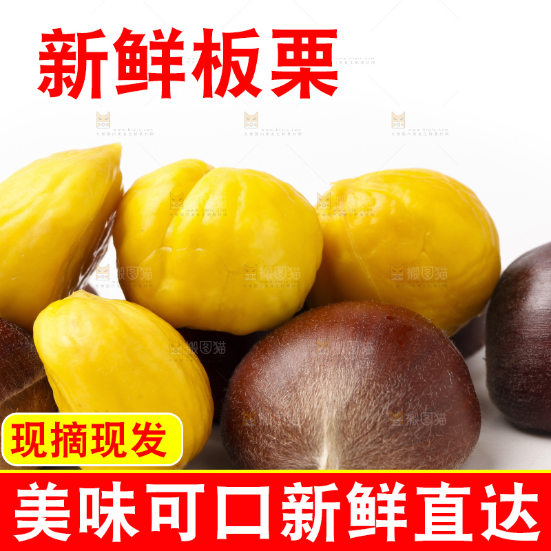 浅底上的迁西板栗
