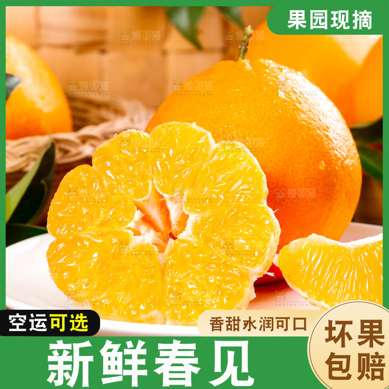 盘子里装着四川春见耙耙柑