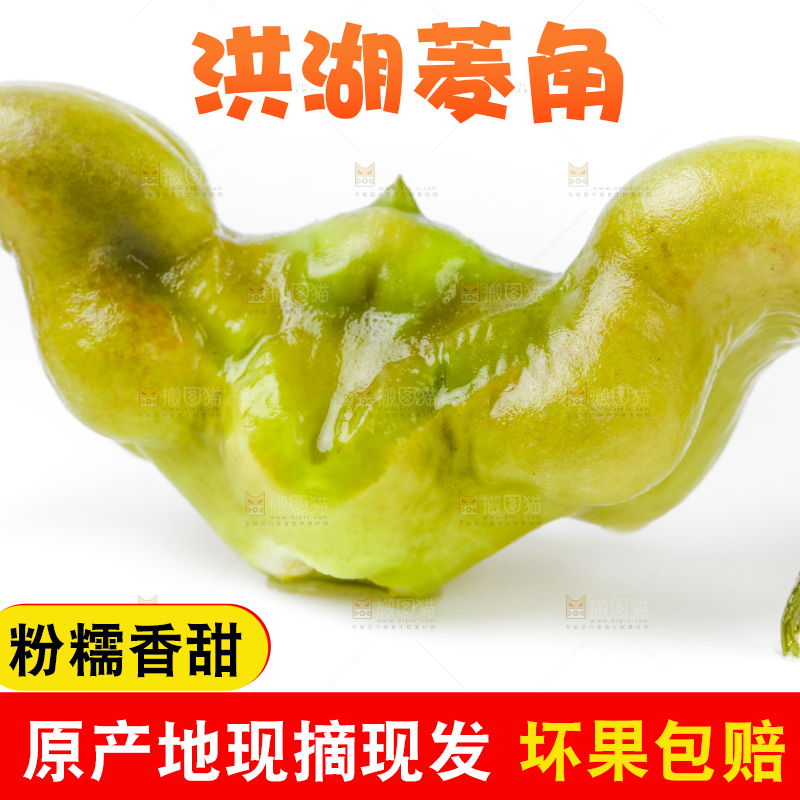 白底上放着洪湖菱角