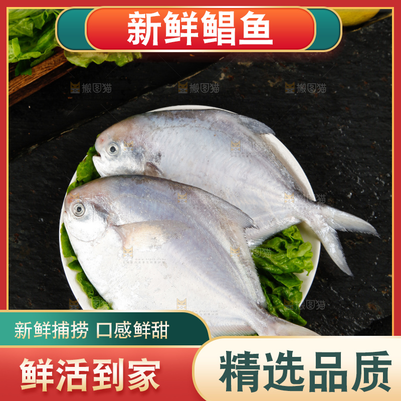 深底上放着银鲳鱼