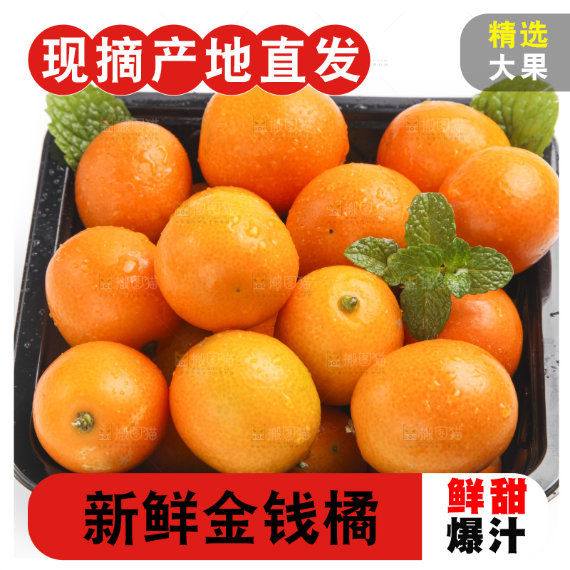 盒子里装着小金桔