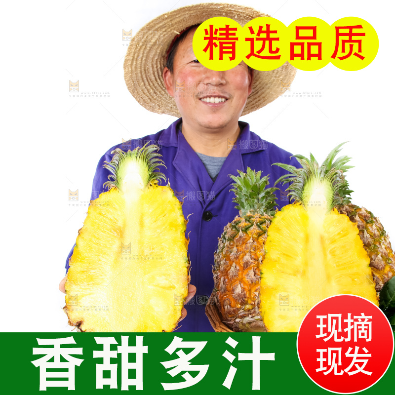 农民手里拿着香水菠萝