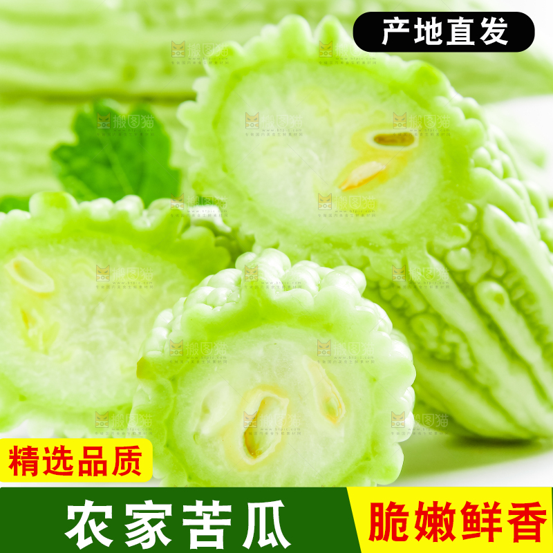 白底上摆放着新鲜苦瓜