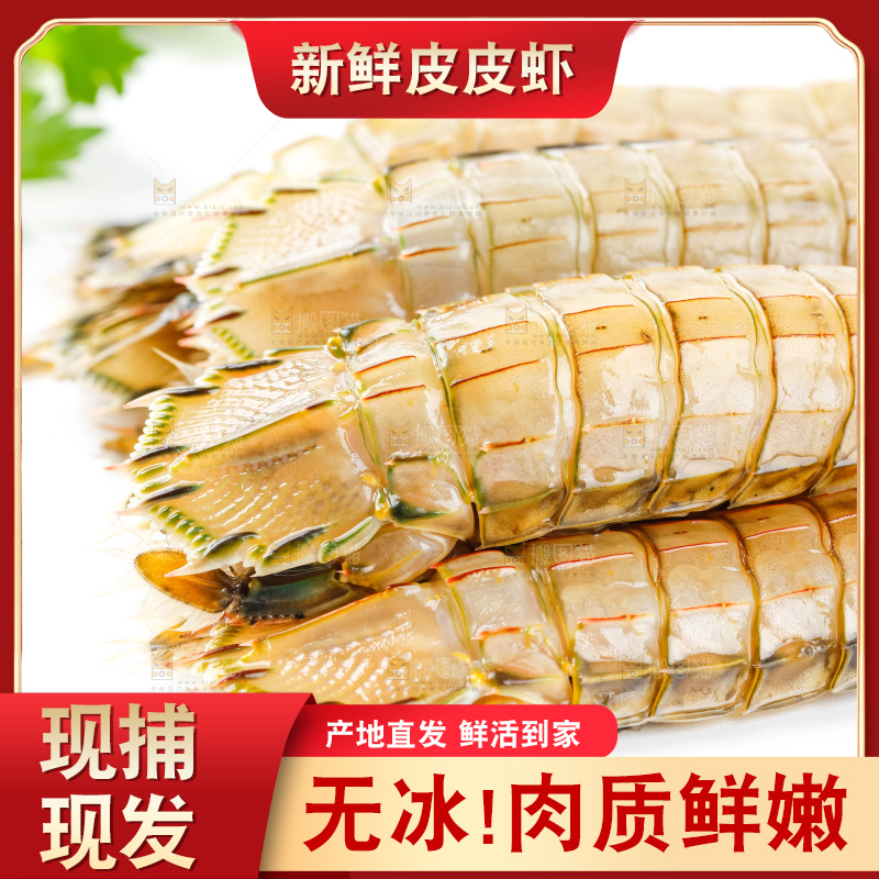 白底上的皮皮虾