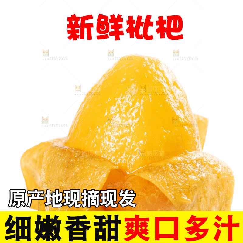 白底上的米易枇杷