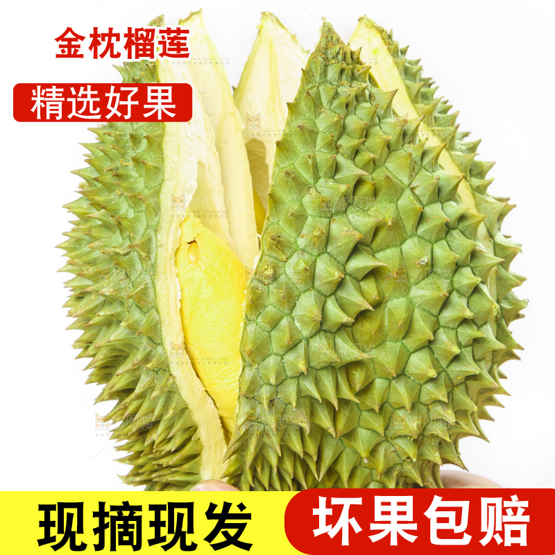 白底上放着泰国金枕榴莲