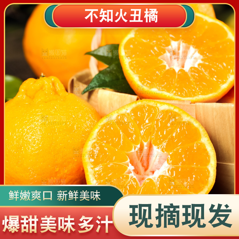 篮子里装着四川丑柑