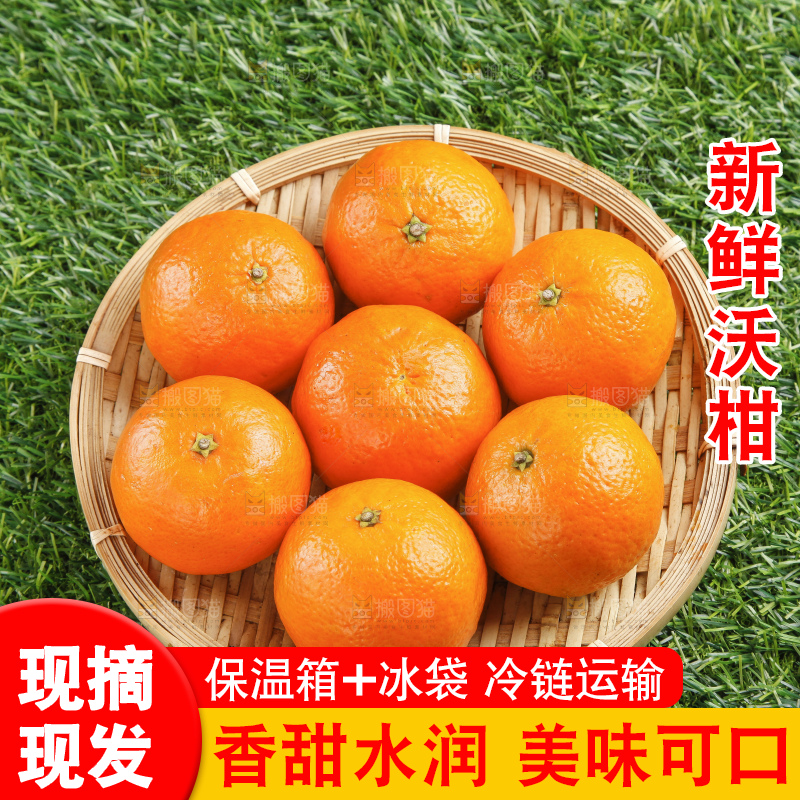 草地上放着贵妃柑