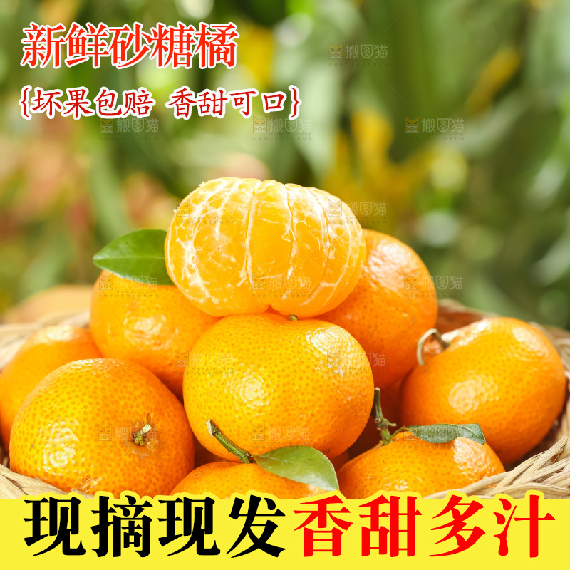 篮子里装着广西砂糖橘