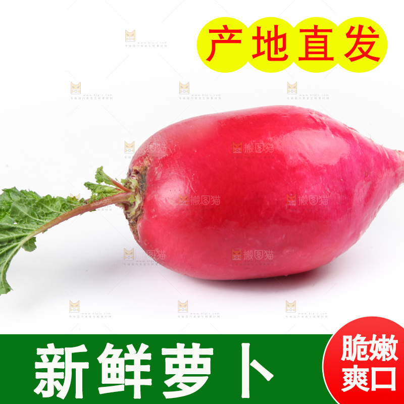 白底上的红萝卜