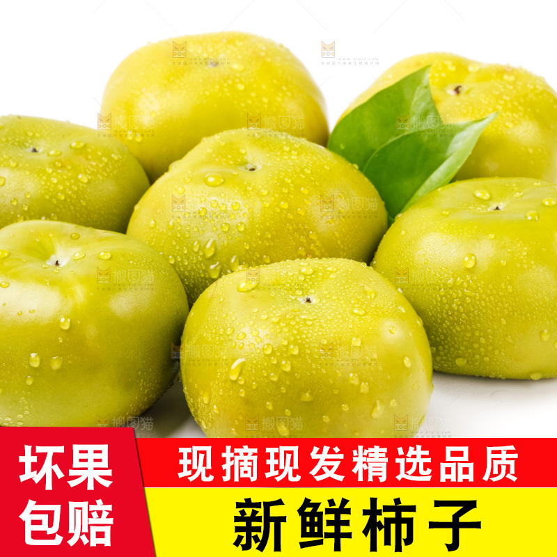 白底上放着青皮柿子