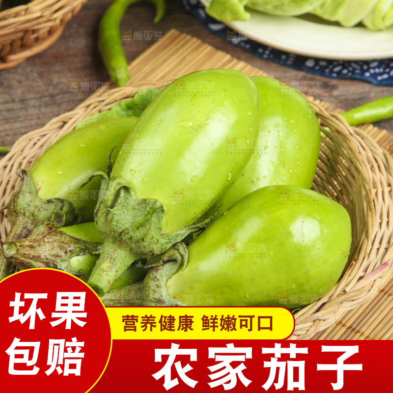 篮子里装着青皮茄子