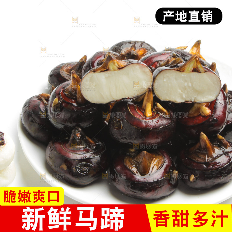 白底上摆放着广西荔浦马蹄