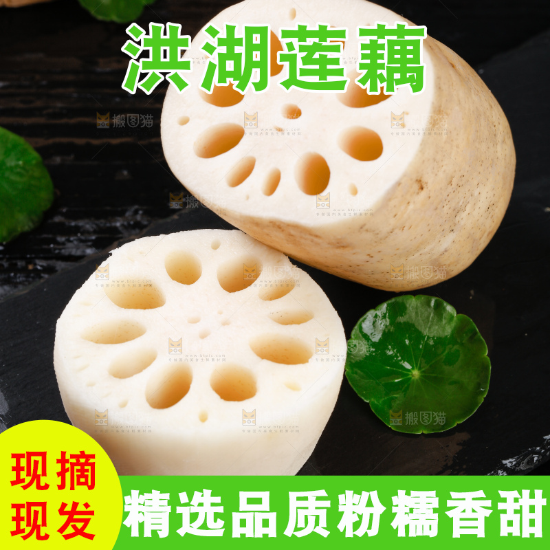 黑底上的莲藕