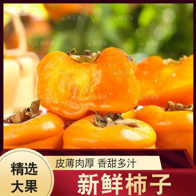 黑石板上放着易县磨盘柿