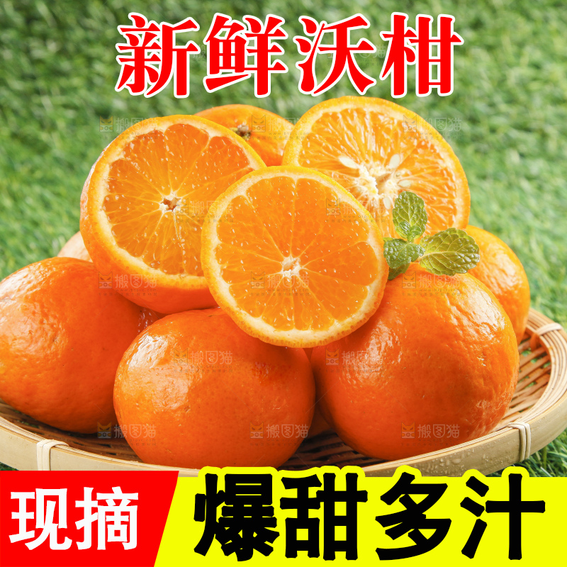 草地上放着贵妃柑