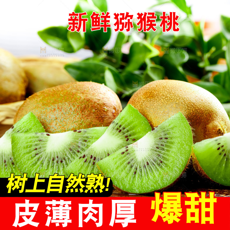 竹底上的陕西猕猴桃