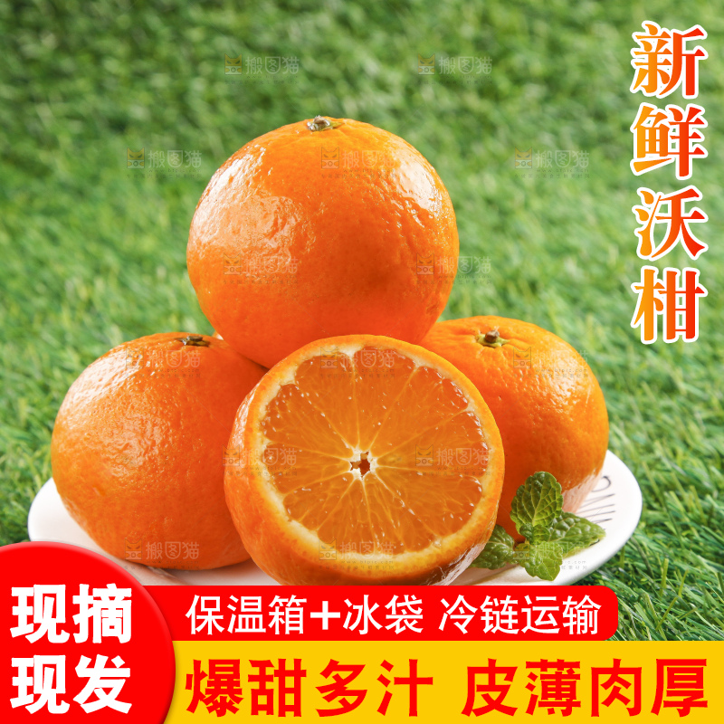 草地上放着贵妃柑